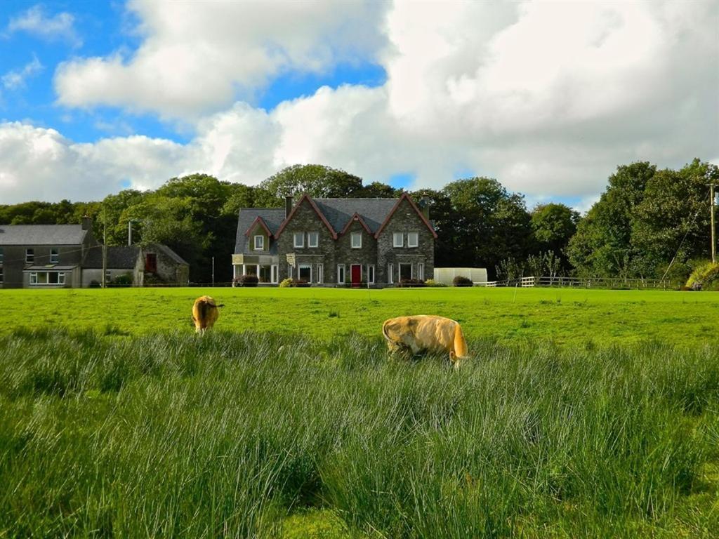 Lake House Dunmanway Exterior foto