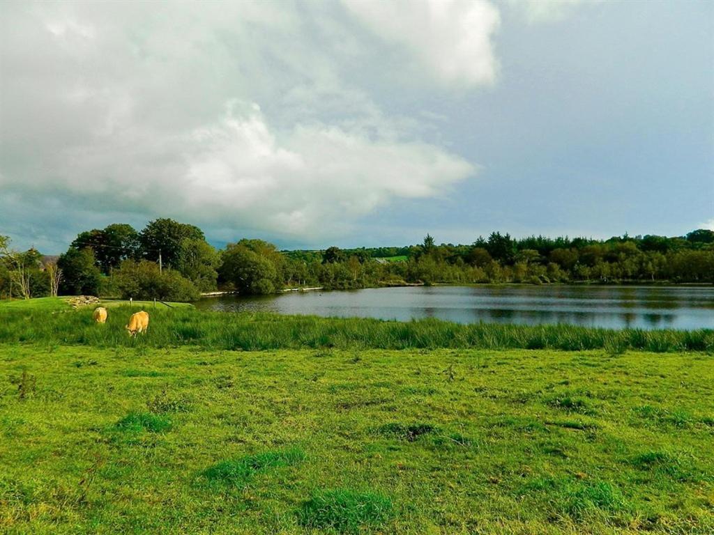 Lake House Dunmanway Exterior foto